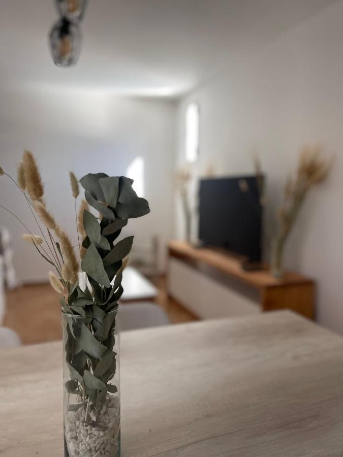 Apartment Nordik
